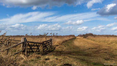 Photograph of dry grass and crop on flat plain with blue cloud whipped sky and a rickety old fence gate opening dipped in the middle to the left of the image.