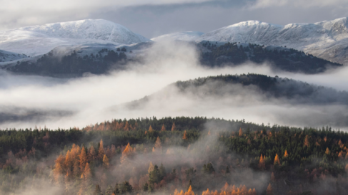 Photo of Caingorms mountains with forrest and mist